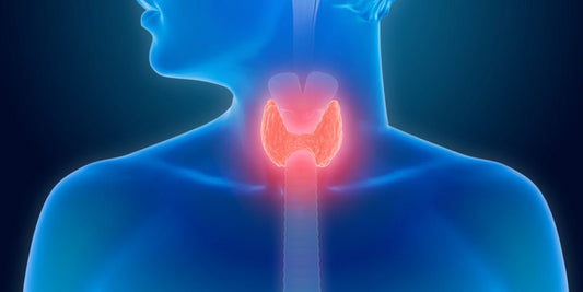 Endocrine Disruptors in Tap Water - Hydroco