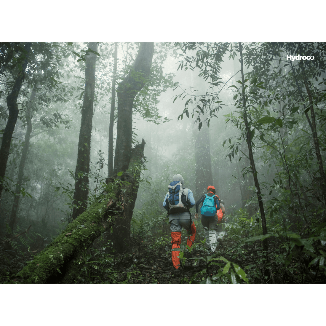 Top 10 Essential Adventure Gear for Hikers and Explorers in Australia - Hydroco